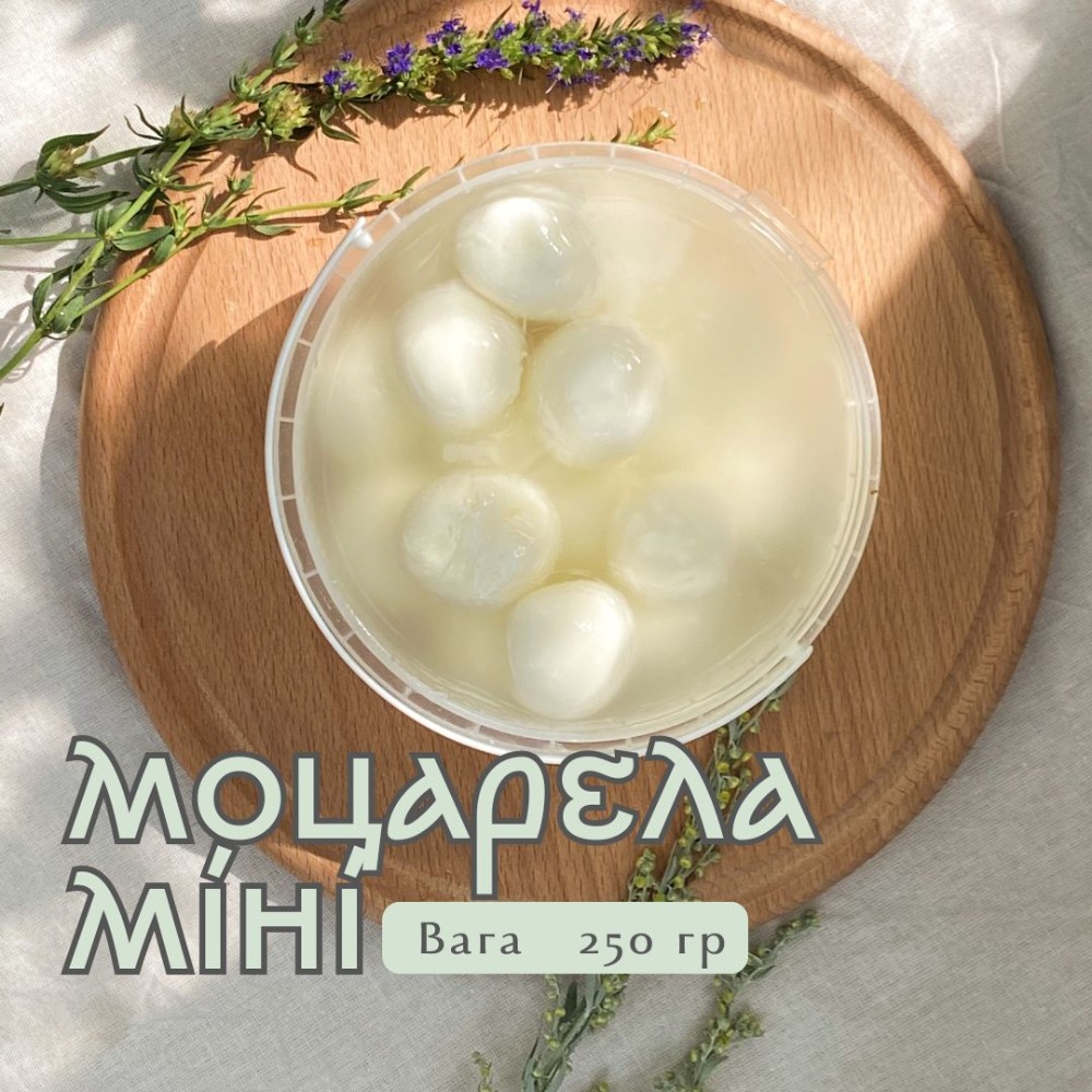 Моцарела міні