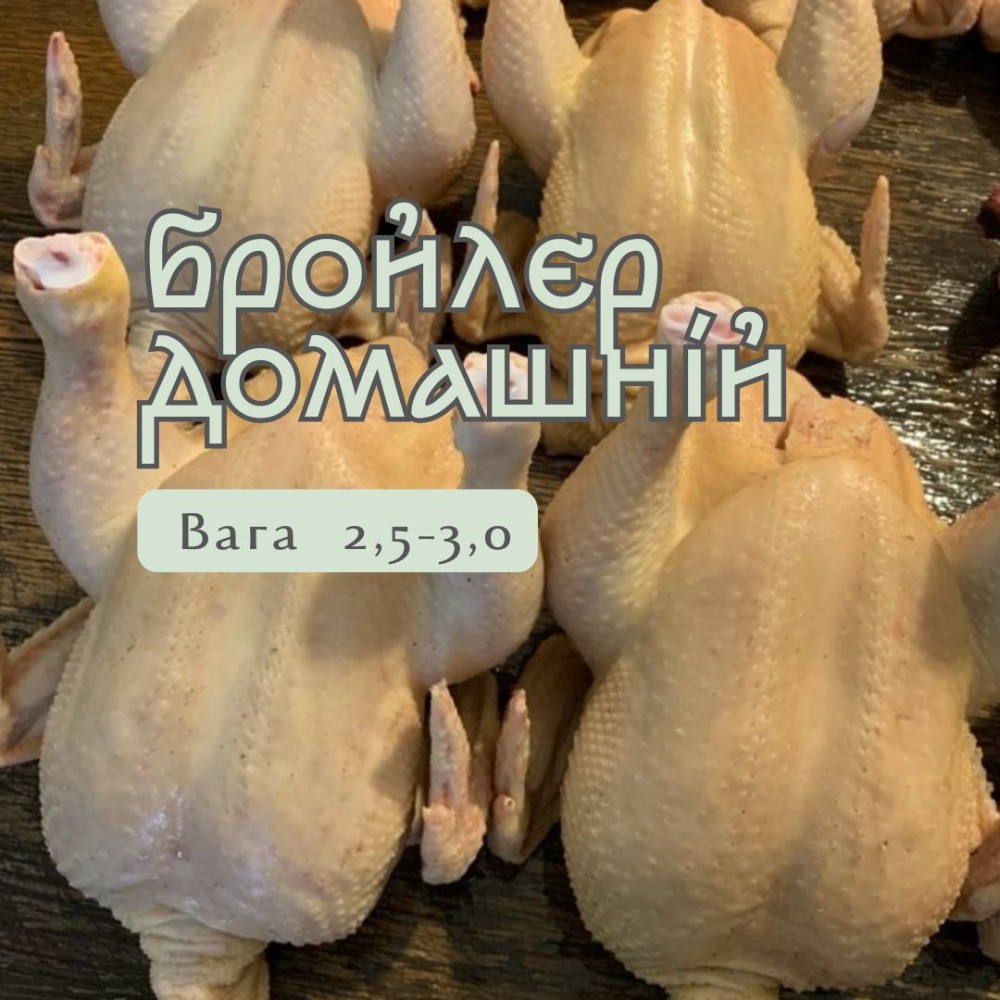 Бройлер домашній