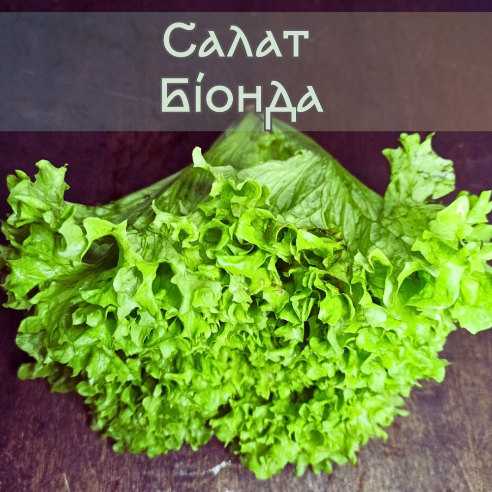 Салат Біонда