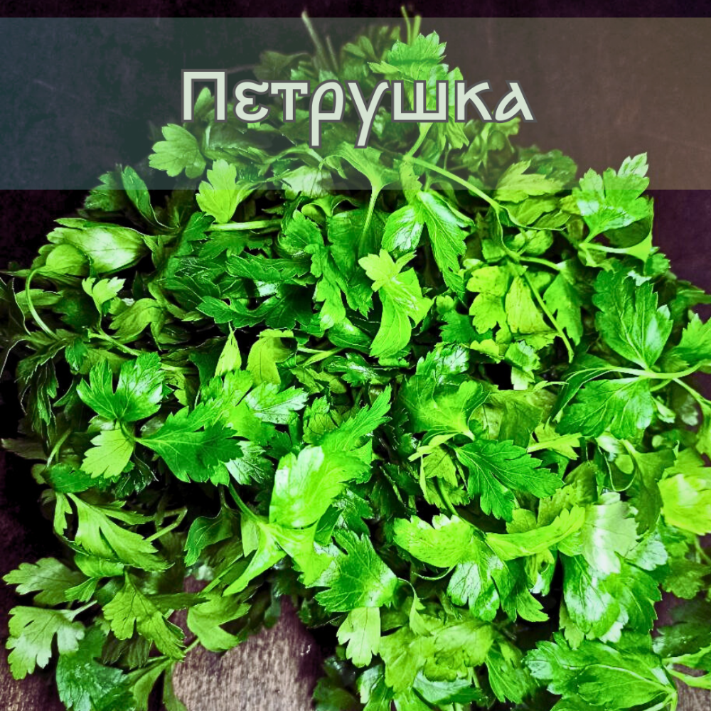Петрушка