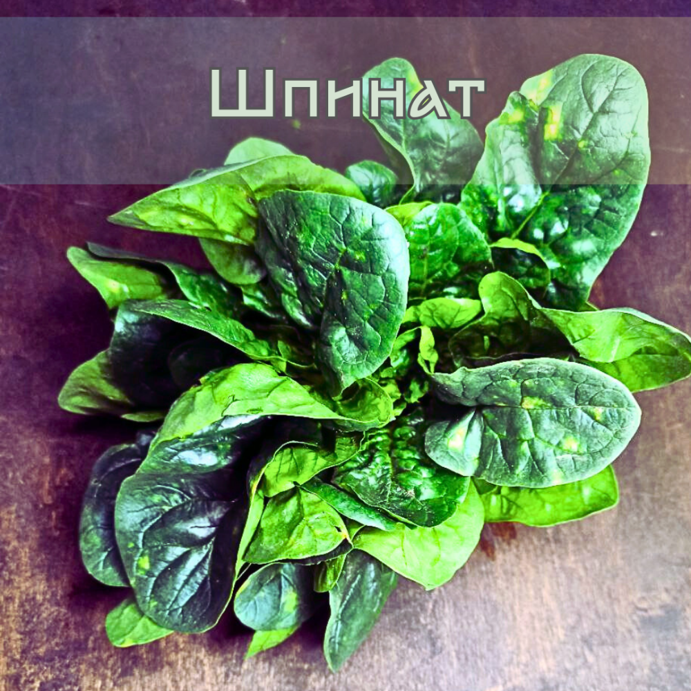 Шпинат