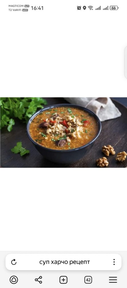 საქონლის ხარჩო ნიგვზით Харчо с говядиной и орехам  Beef Kharcho with Walnuts