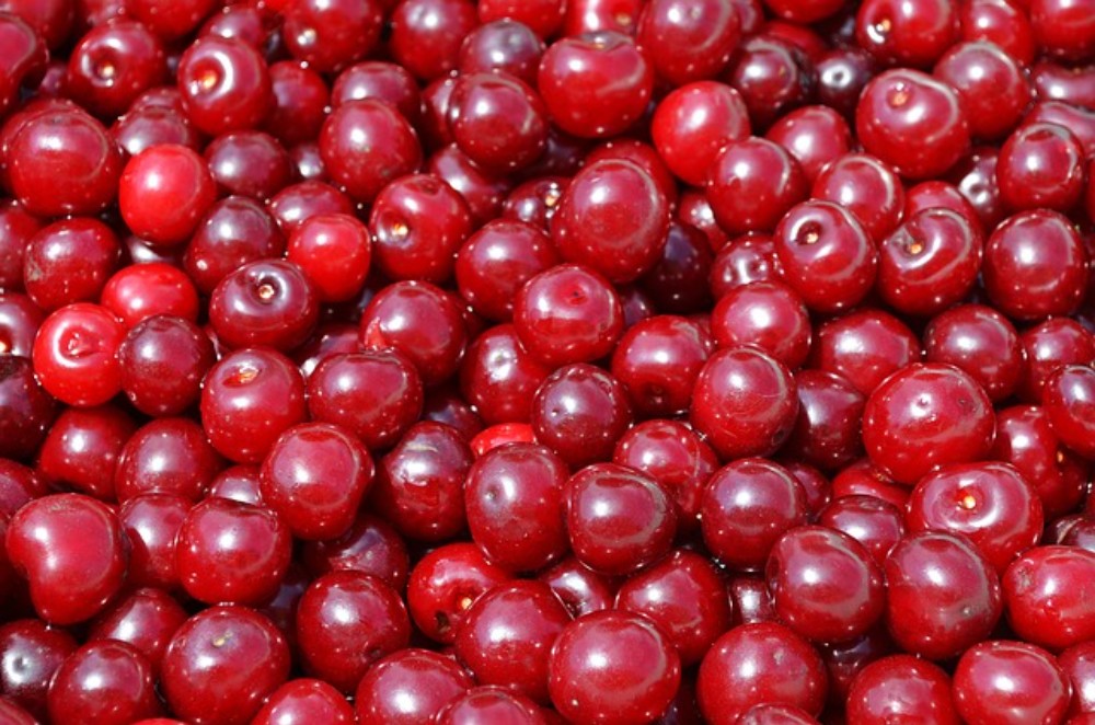 Corenel compote 1L