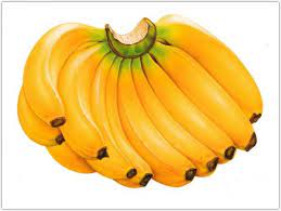 Ель Банан
