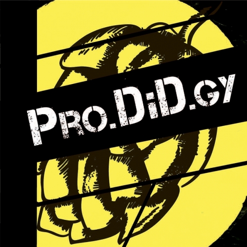 9. Pro.DiD.gy             DIPA   (0.3) - 7.4% 65 IBU