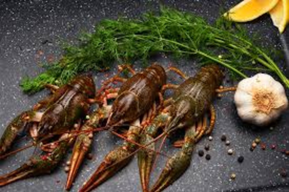 Раки живі (По Україні).