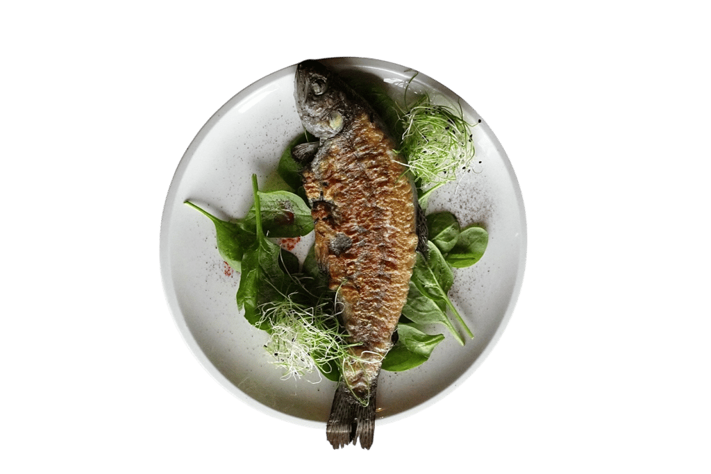 Форель гірська