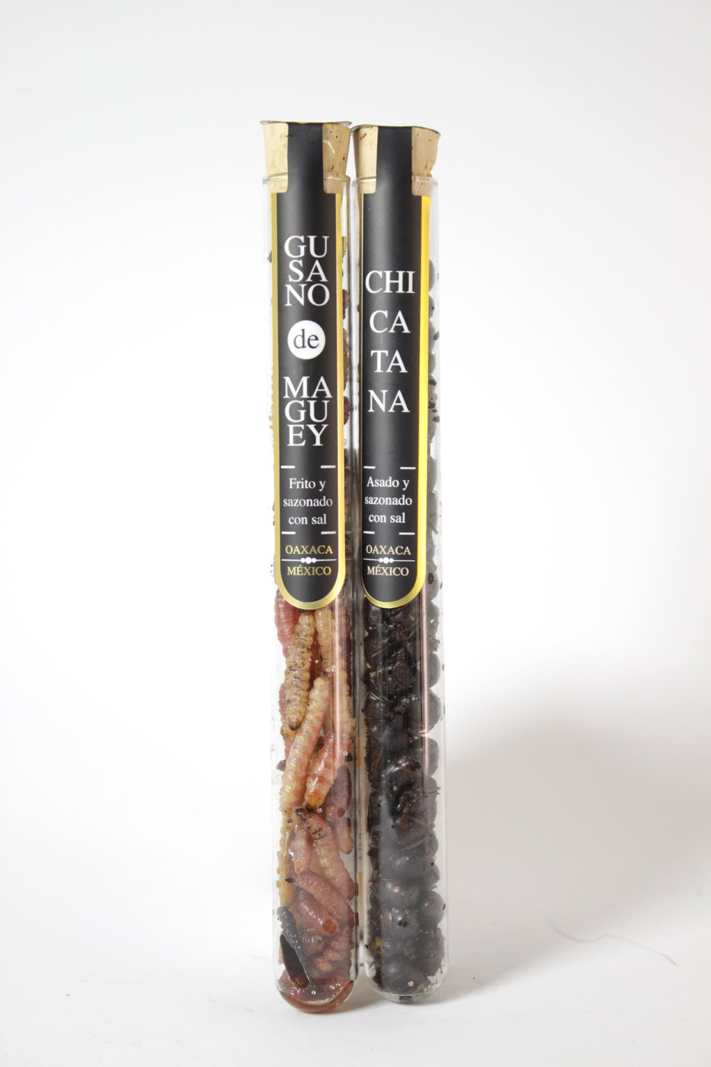 Tubo con Chicatana. Sabor de maguey