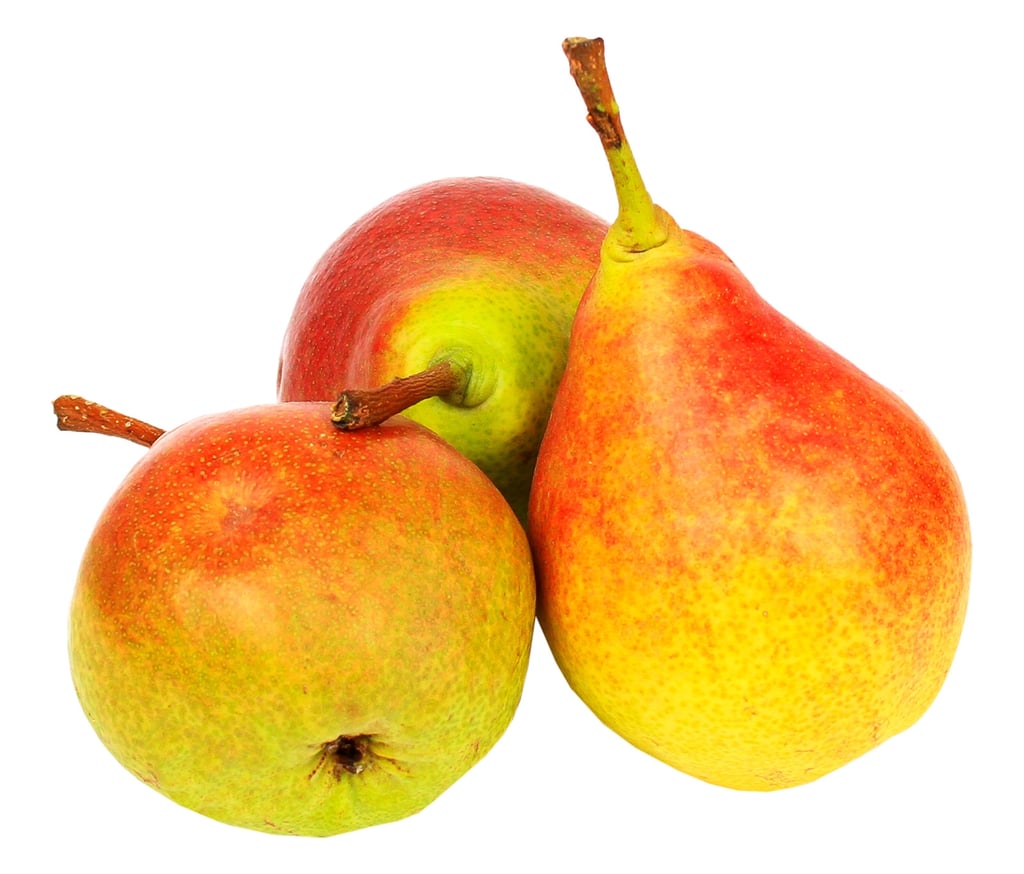 Лесная красавица