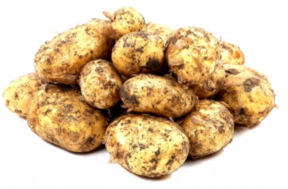 Картофель свежий