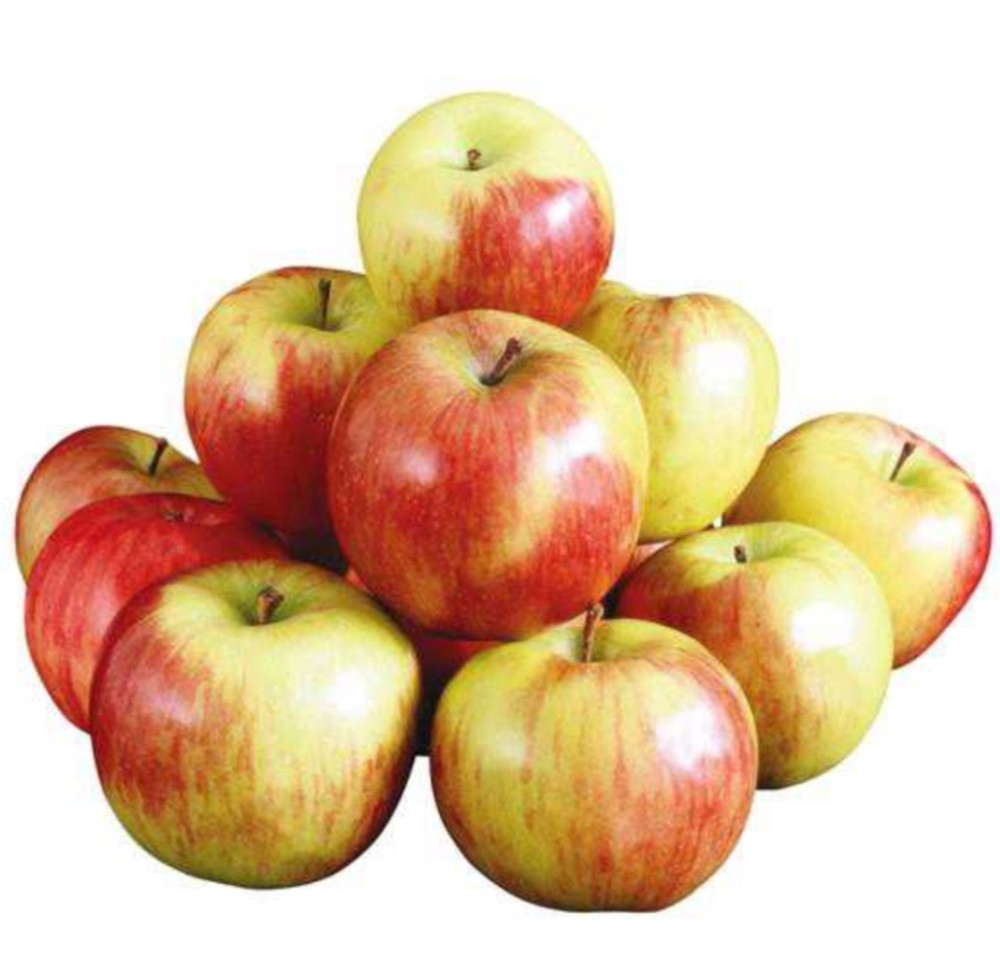 Апорт (оптом)