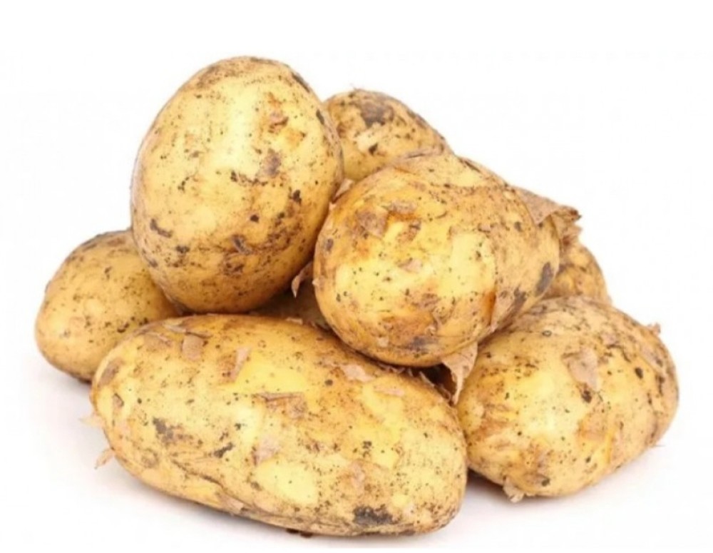 Картофель белый