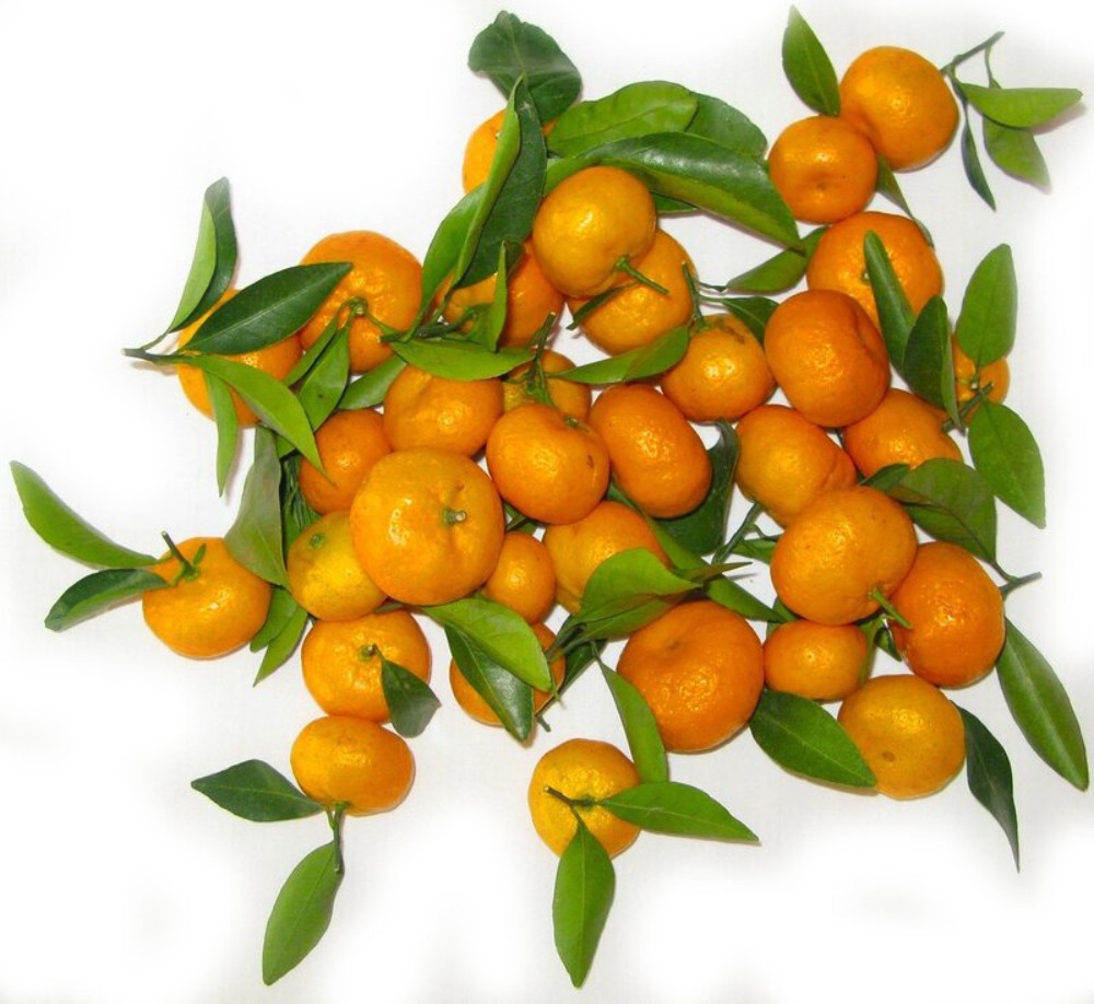 Мандарин с листьями