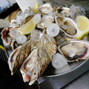 Oysters Retail