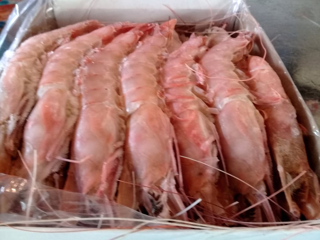Pink Prawn Queen Size(L2) 2Kg Box
