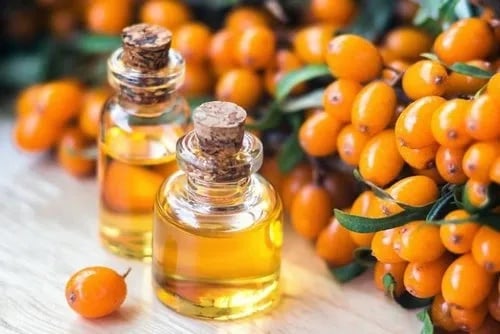 Sea buckthorn & honey smoothie tincture 25ml