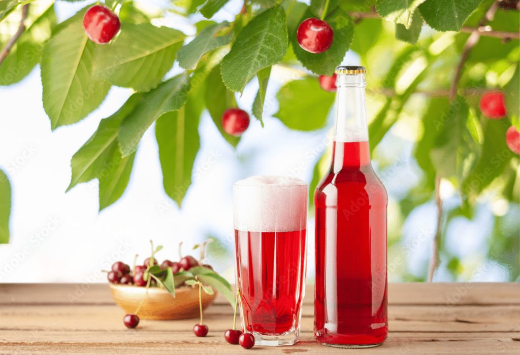 Cider Cherry and Apple Drunk Raccoon /// ალუბლის და ვაშლის სიდრი Drunk Raccoon