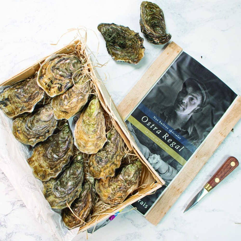 Ostra regal oyster