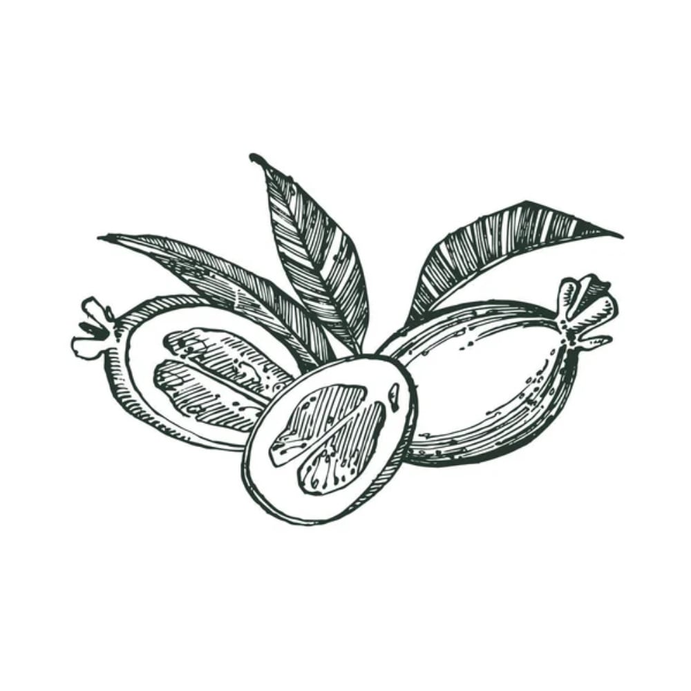 Dao Feijoa Brandy 50ml