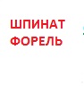 *Кіш з листям Шпинату та Фореллю 1/4