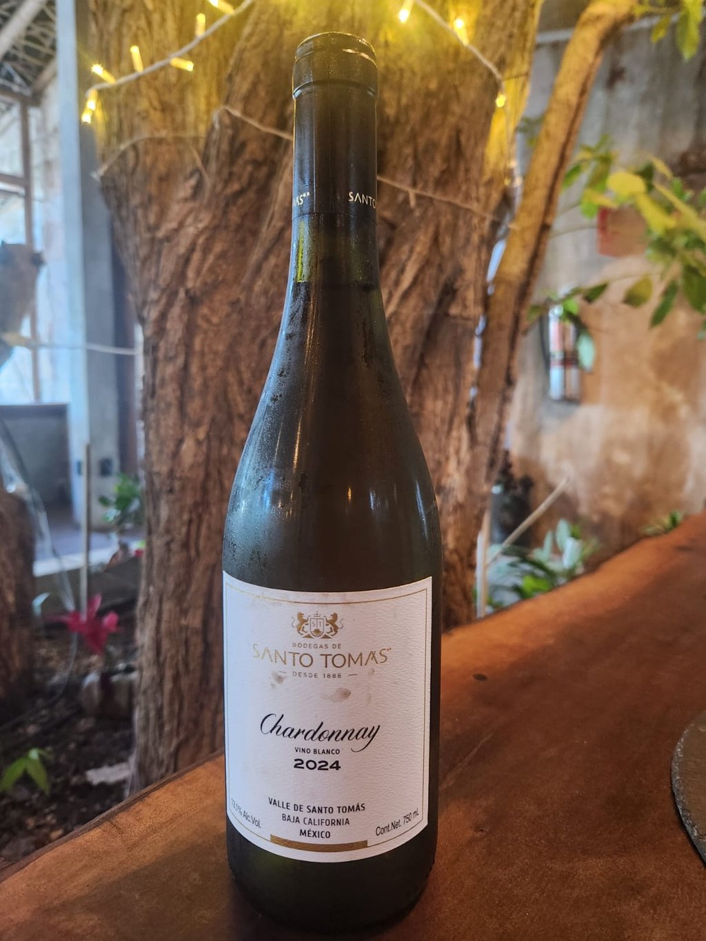 Santo Tomas, Chardonnay