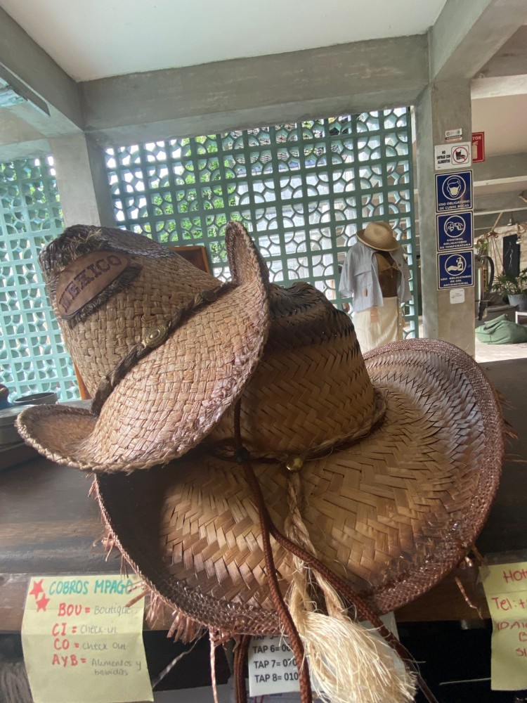 Sombreros Rafia/Palma