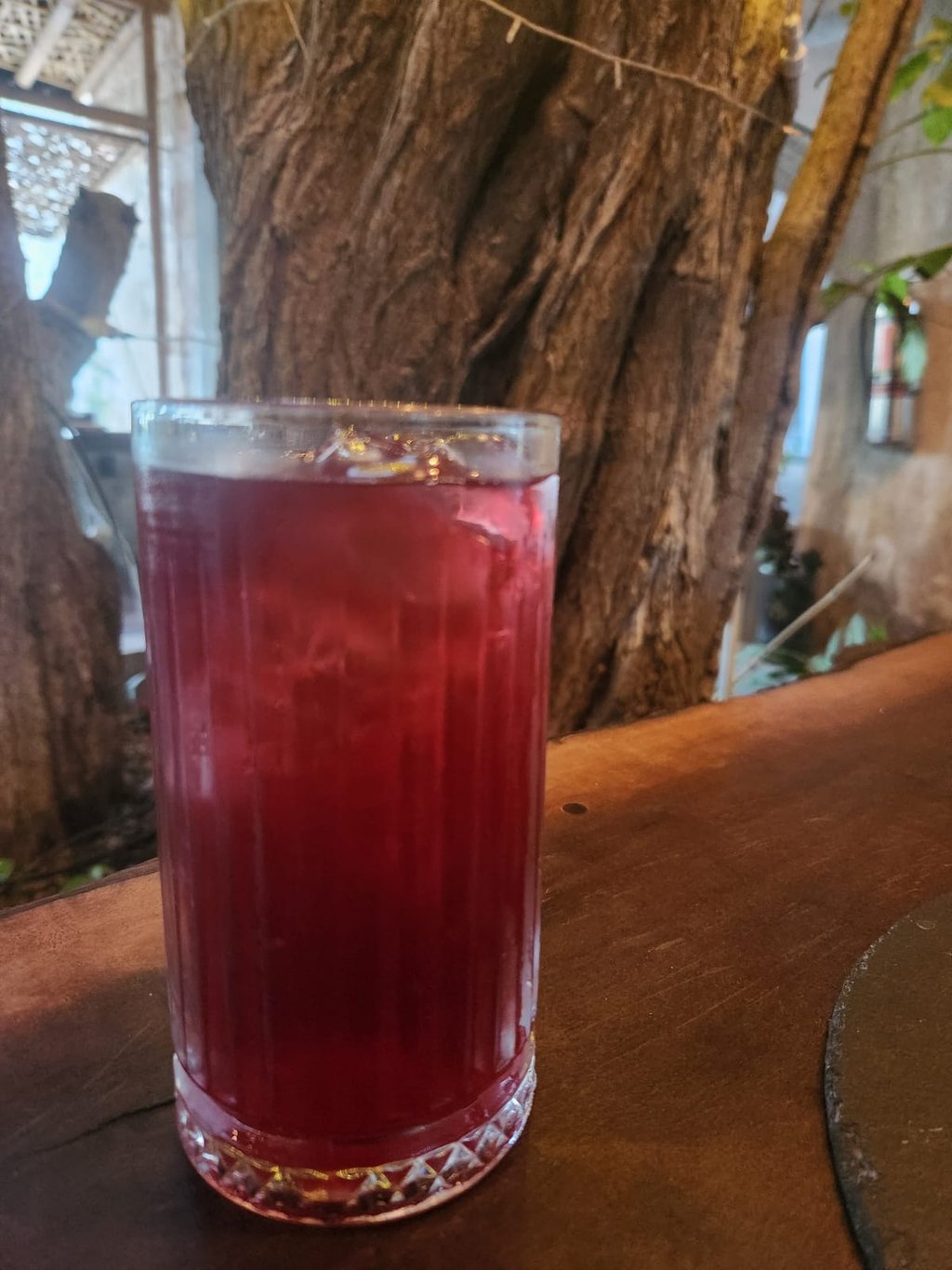 Agua de Jamaica con Canela
