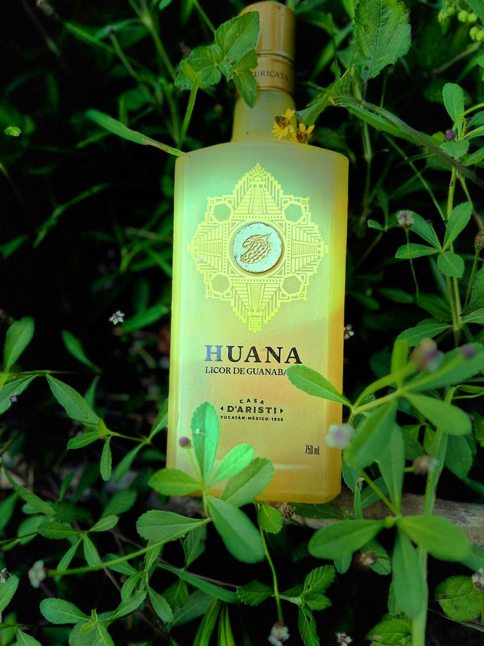 Huana Guanabana Maya