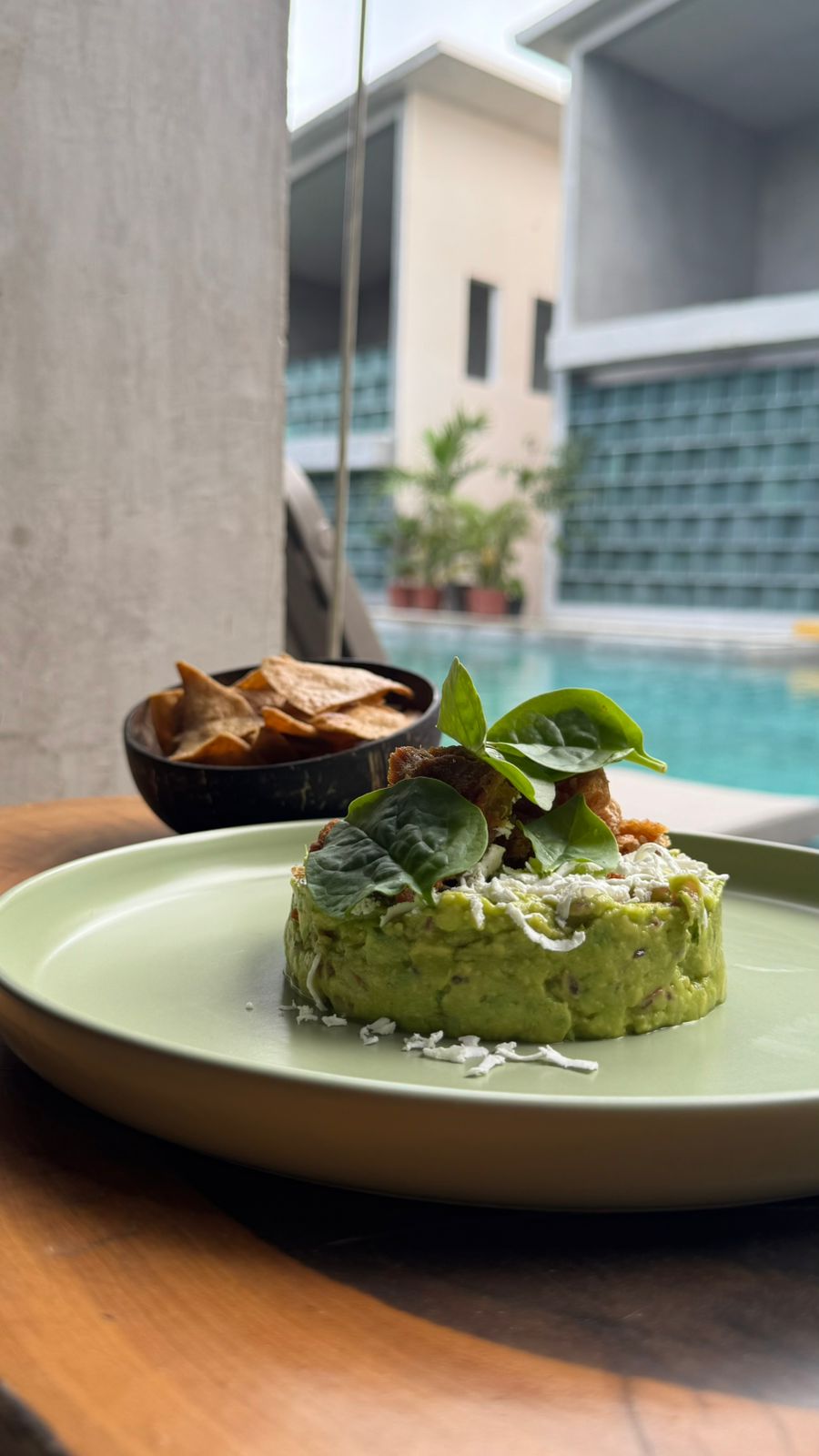 Guacamole con Castacan