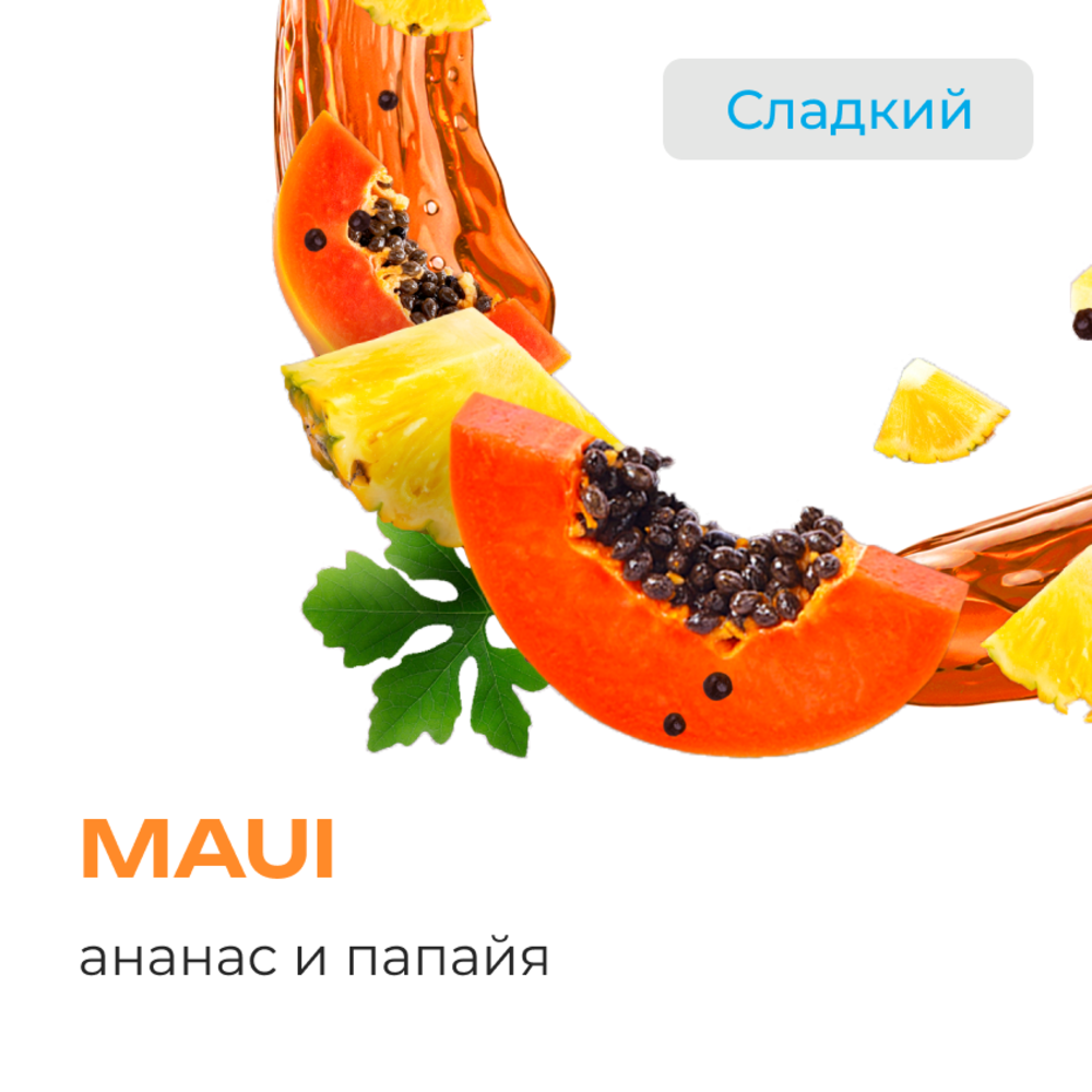 Табак Element Вода 25 гр Maui