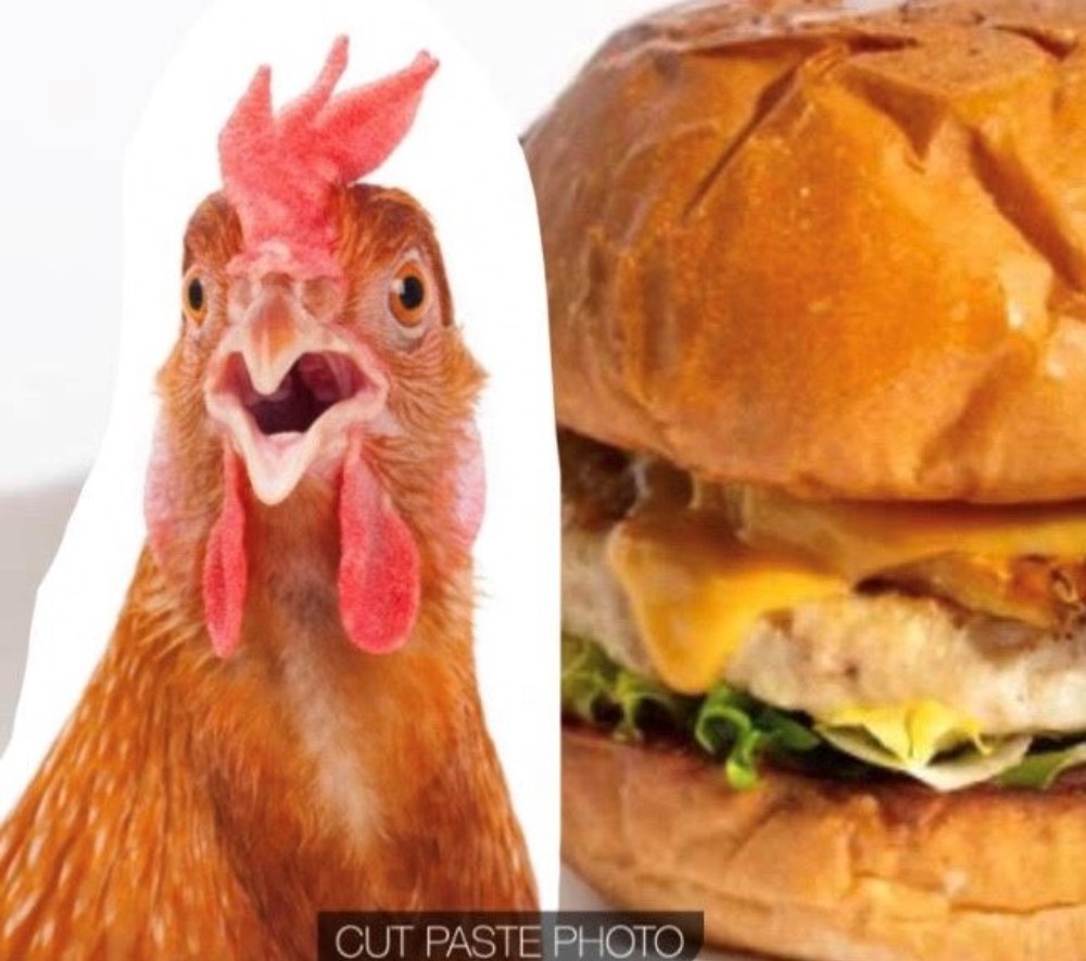 Котлета бургерна з курки