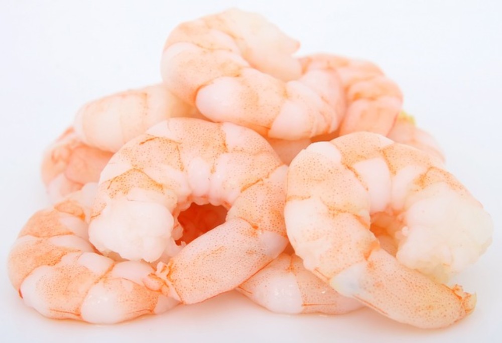 Fried Shrimp
