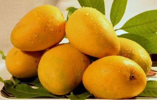 Mango Juice