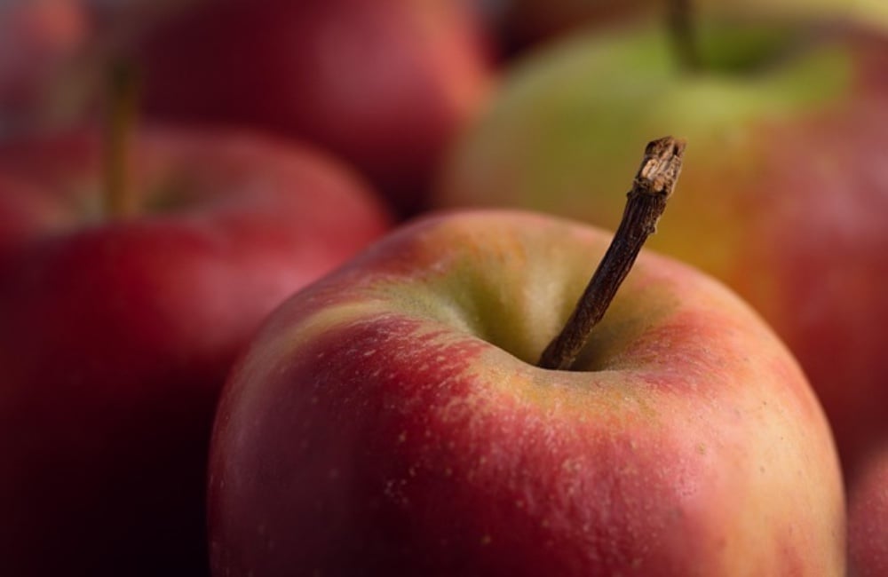 Apple-Licious Splash