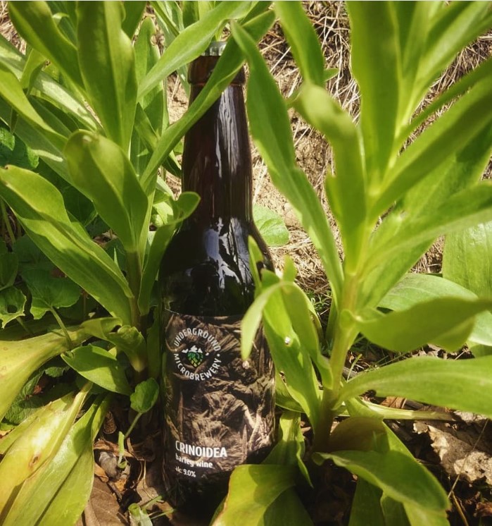 UGMB "Crinoidea" Barley Wine 0.33L