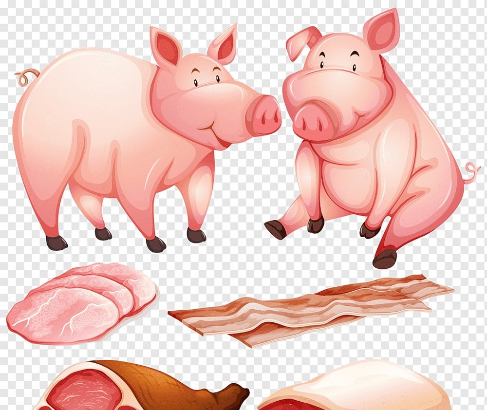 MP: Main Project Jerky Pork-100