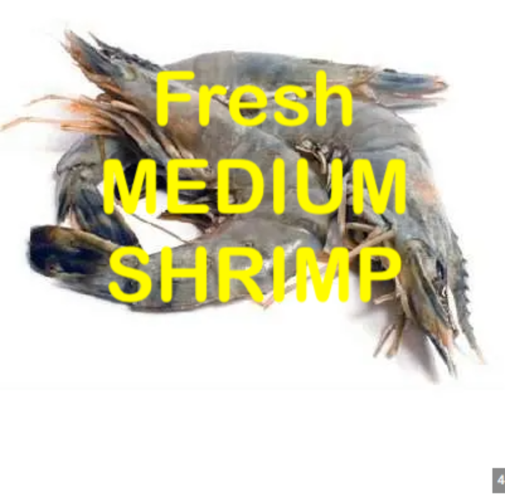 Fresh Medium Shrimp