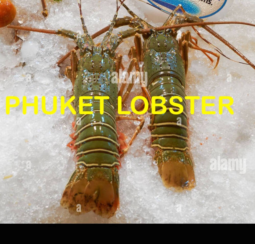 Phuket Lobster