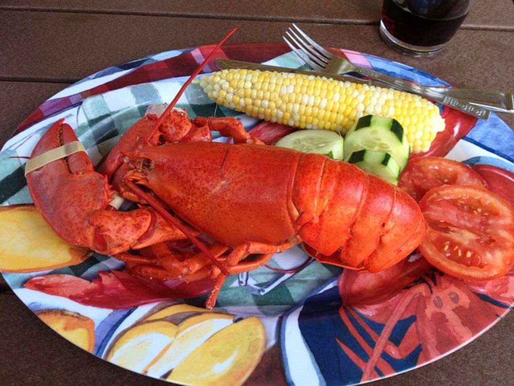 Lobster - medium (50% discount)