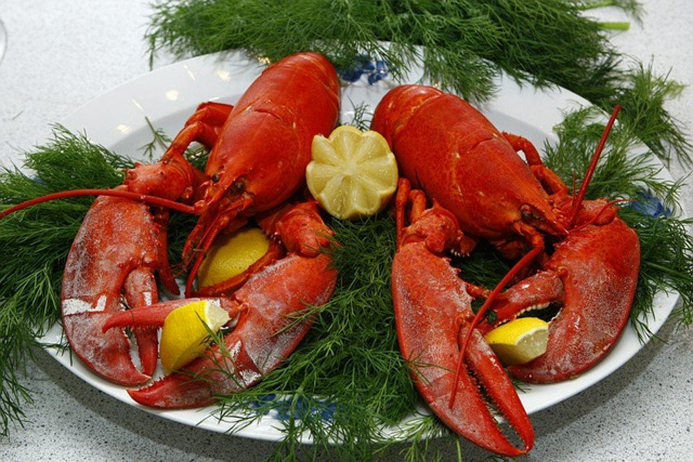 Lobster - Large (60% discount)