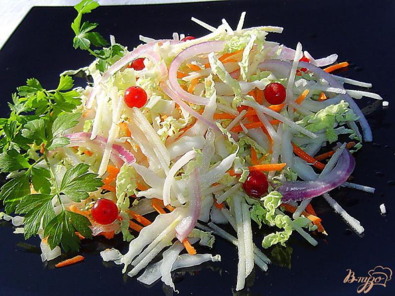 Салат из пекинской капусты с клюквой 50г