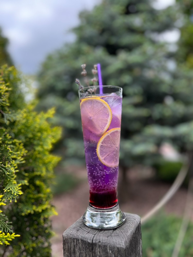 Коктейль Purple Tonic б/а