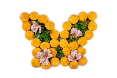 СЕТ Maxroll 30 шт. 