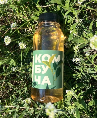 Комбуча класична