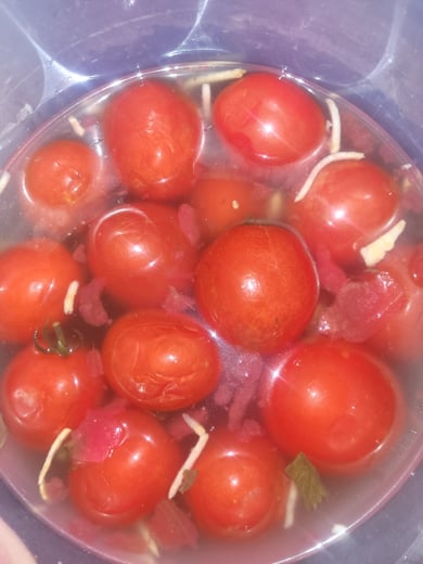 Помідор солоний 50г