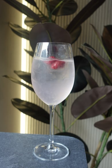 Коктейль Gin Tonic 0,227мл