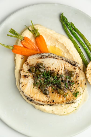 Patagonian Deep Water Sea Bass